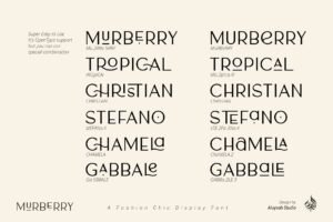 Murberry Fashion Font