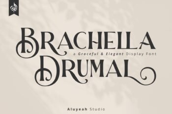 Brachella Drumal a Graceful and Elegant Display Font