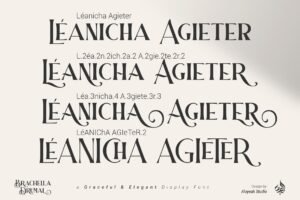 Brachella Drumal a Graceful and Elegant Display Font