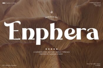 Enphera - A Sophisticated Ligature Display Typeface!