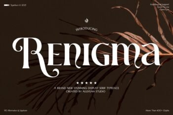 Renigma - A Brand New Stunning Display Serif Typeface