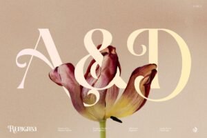 Renigma - A Brand New Stunning Display Serif Typeface