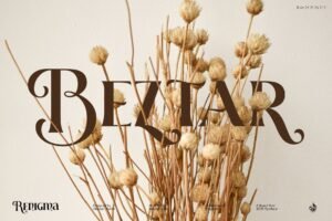 Renigma - A Brand New Stunning Display Serif Typeface
